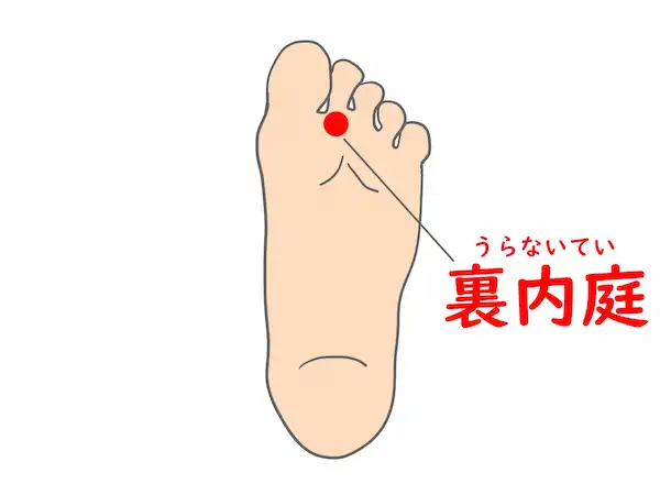 胃腸に効くツボ